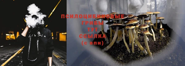 дмт Вяземский