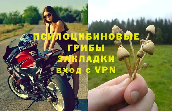 СК Вязьма