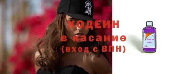 дмт Вяземский