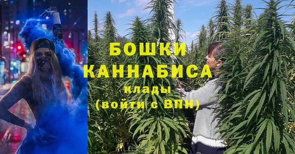 дмт Вяземский