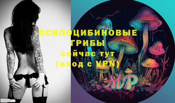 дмт Вяземский
