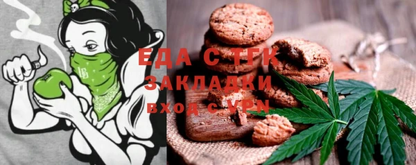 СК Вязьма