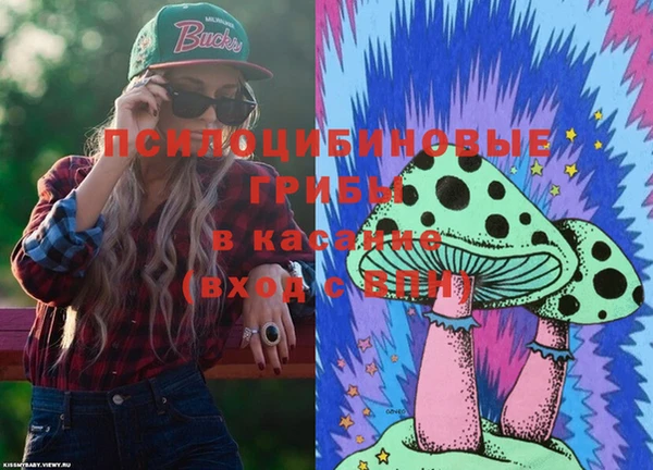 СК Вязьма